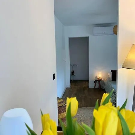 La Rose Tremiere Apartment Parentis-en-Born Exterior photo